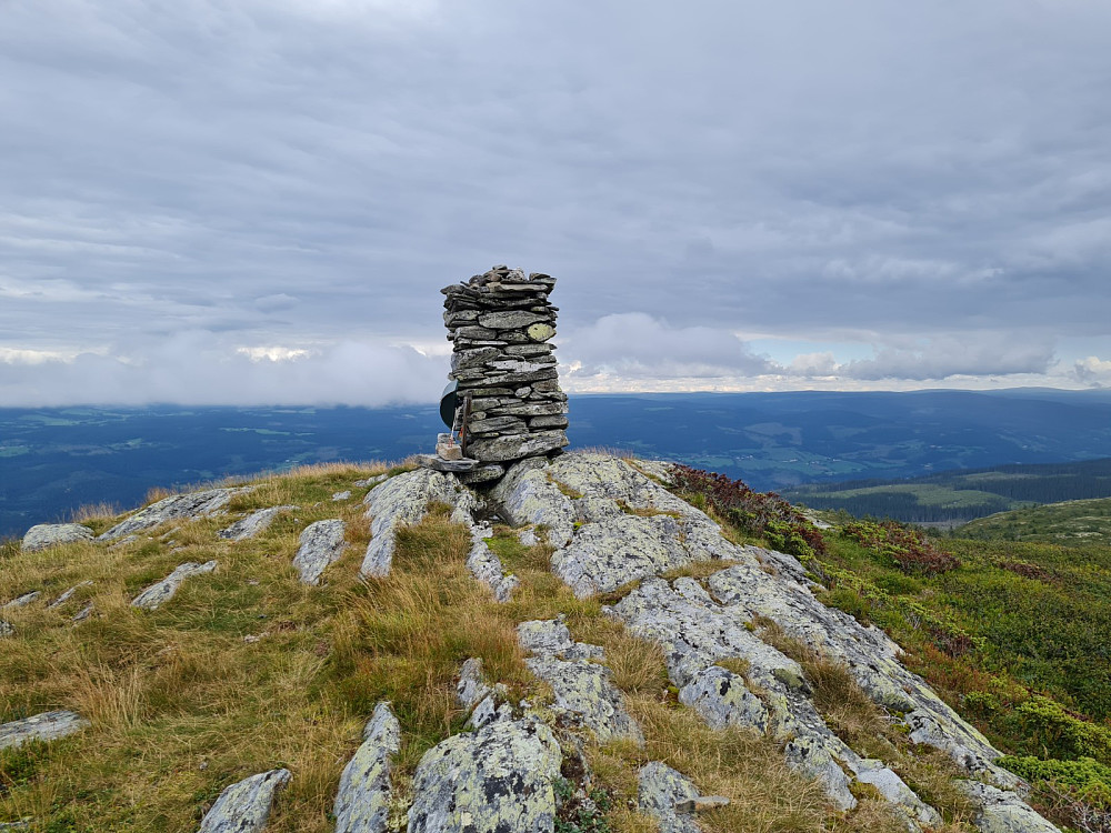 Skjenafjellet