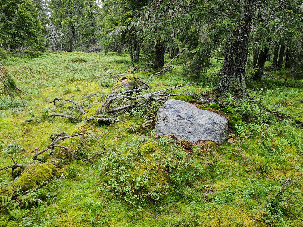 Storseterhøgda