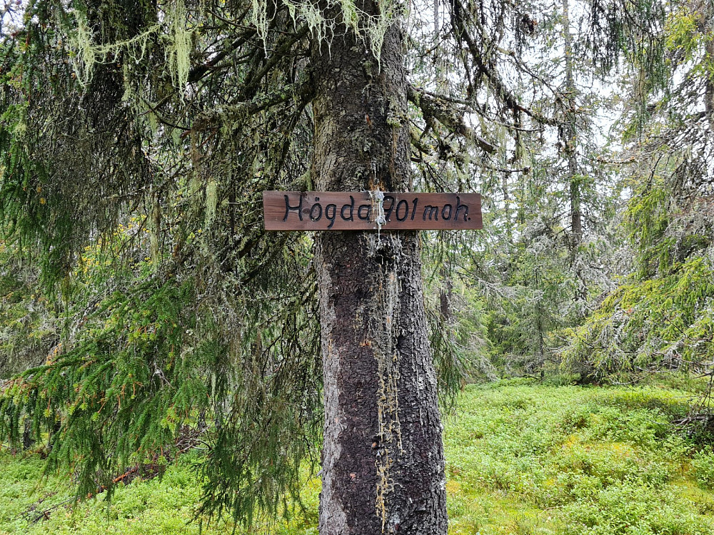 Storseterhøgda