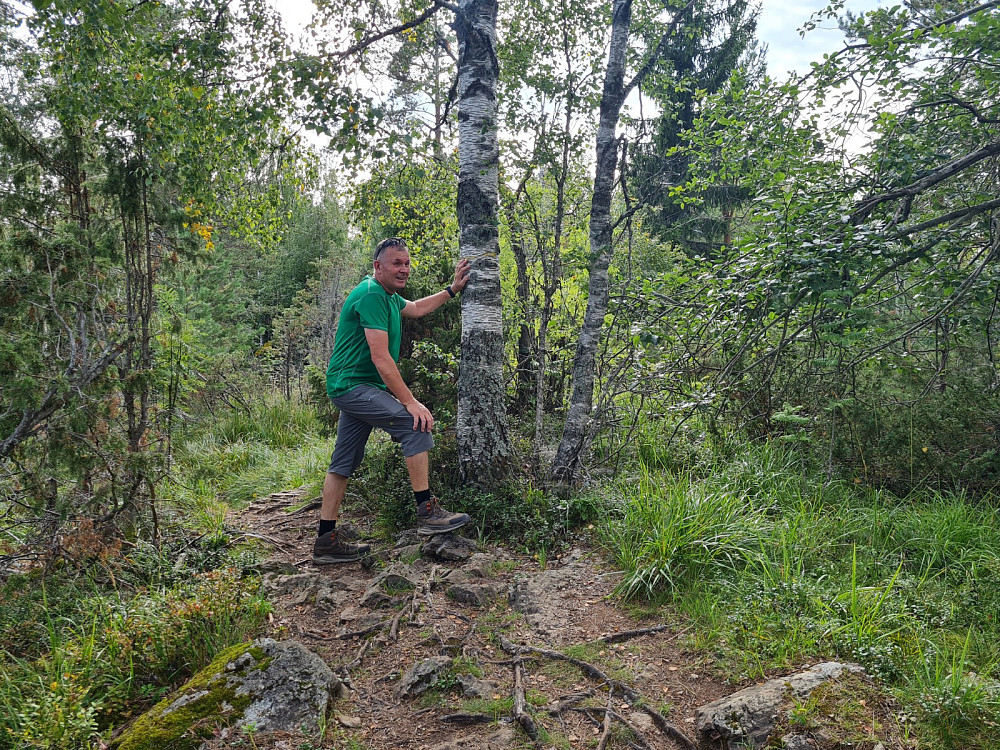 På Solbergfjellet 404 moh