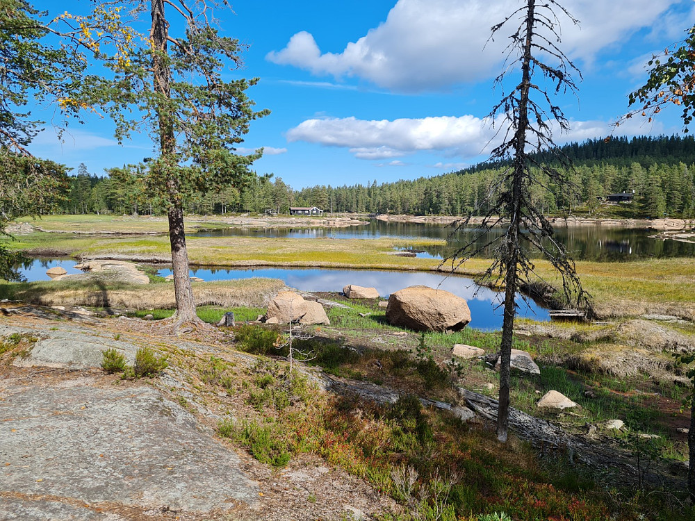 En nedtappet Vrangen