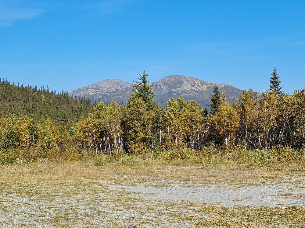 Gråhøene fra Roasetra