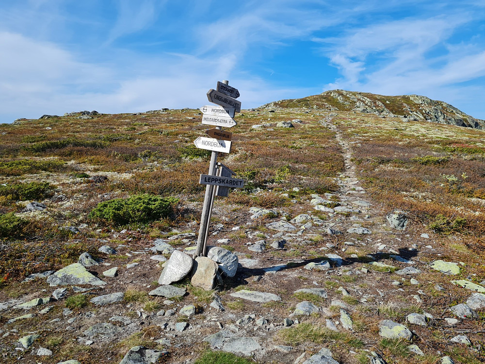 Leppskaret