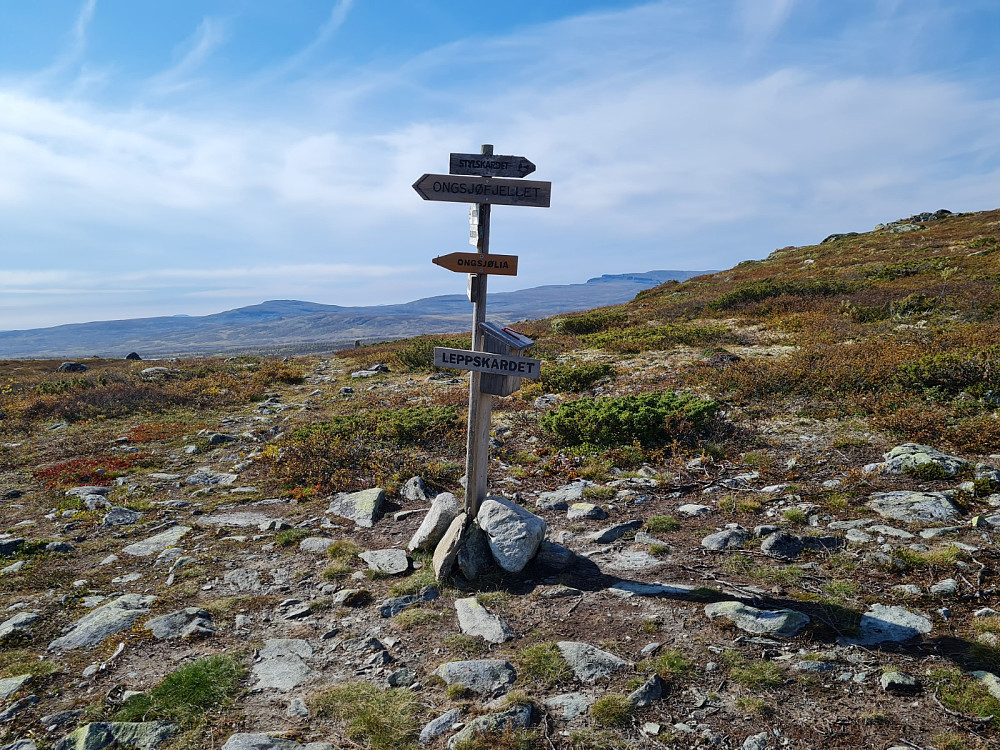 Leppskaret