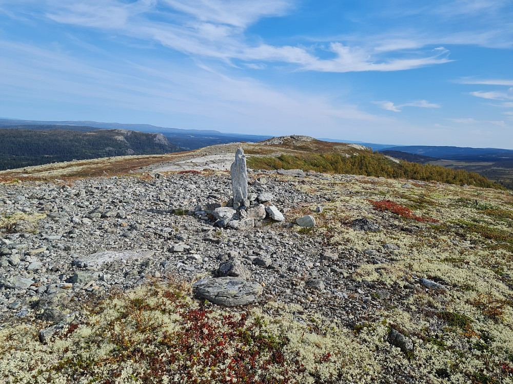 Jentfjellet