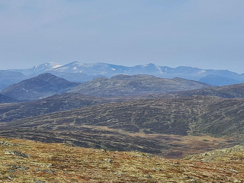 På Ongsjøfjellet, mot Jotunheimen, Glittertind til venstre