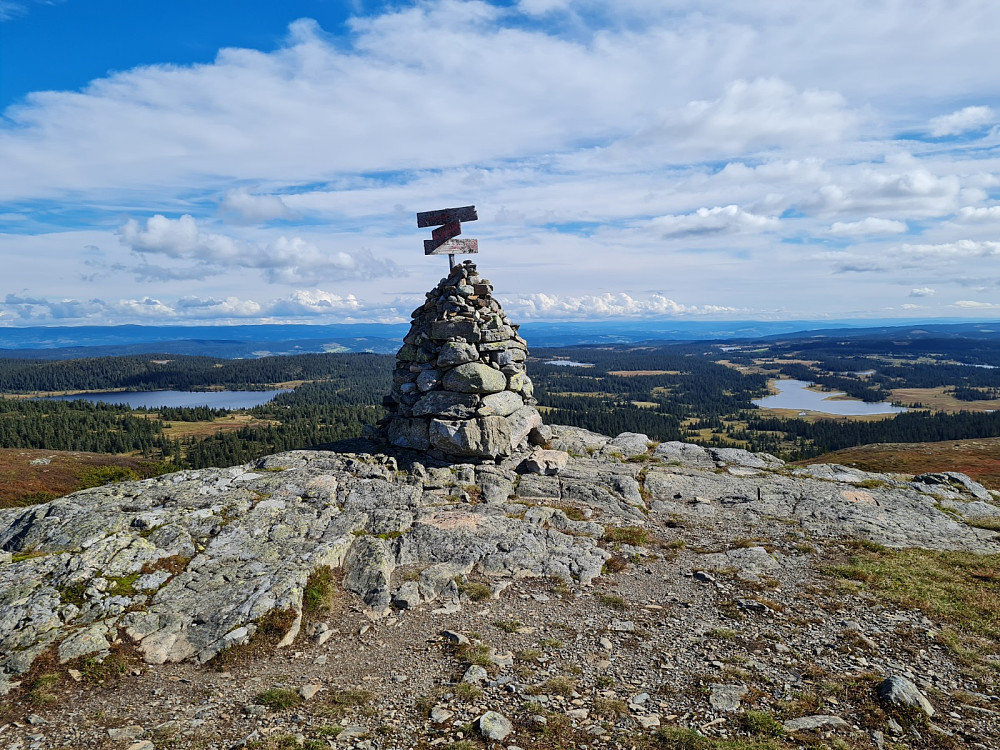 Prestkjerringa