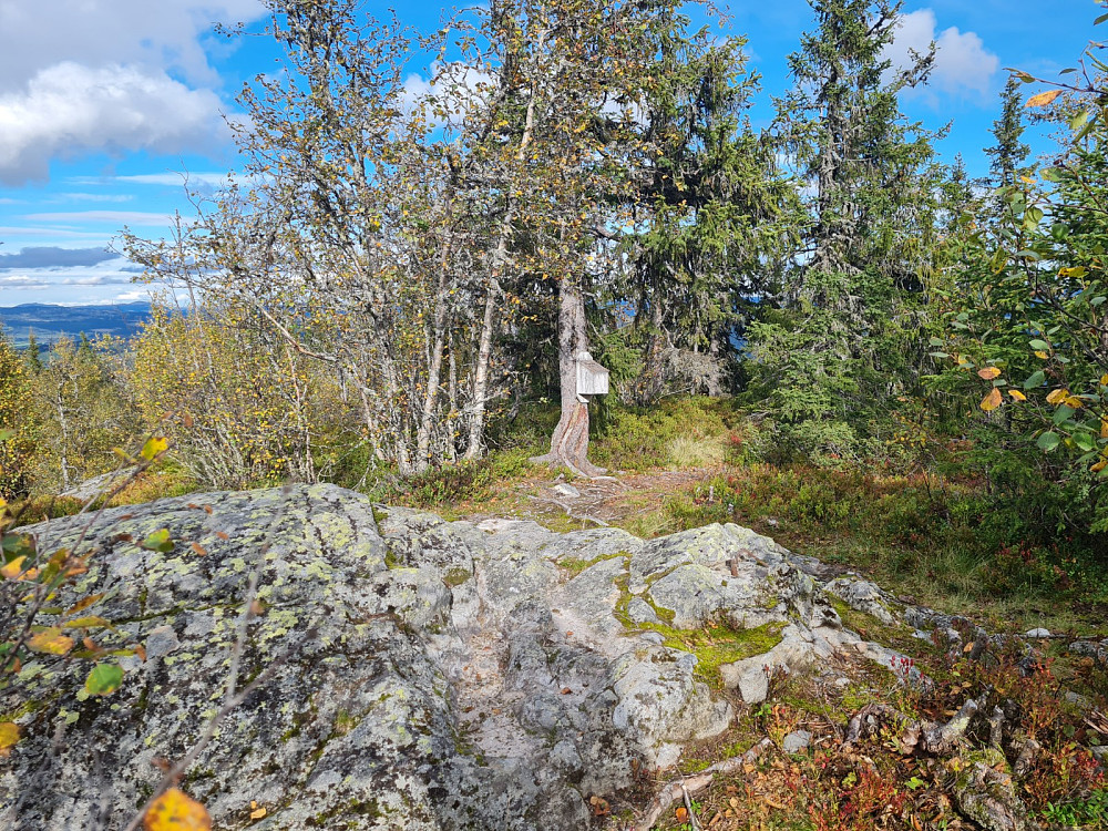 Vardkampen