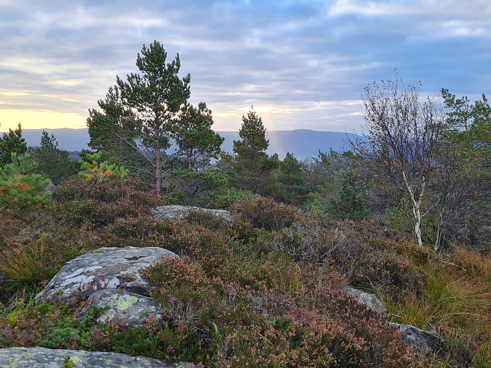 På Midtfjellet