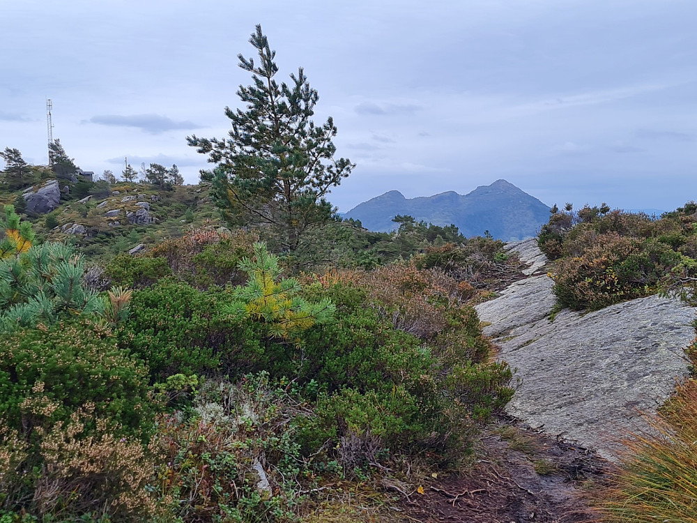 På Storevarden NV, mot Lyderhorn