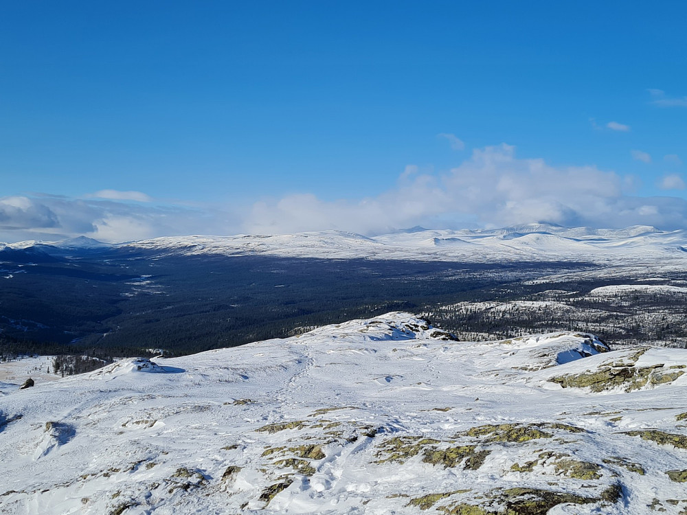Utsikt fra Svartfjellet