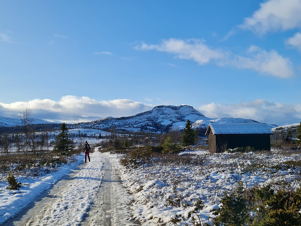 Svartfjellet