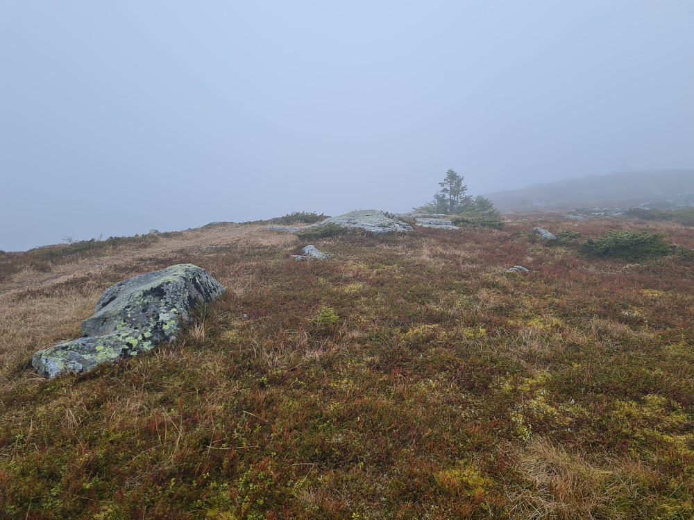 På Høgfjellet