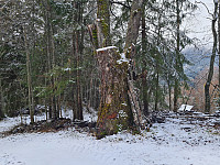 repelo_20231022_6535246b5c086.jpg