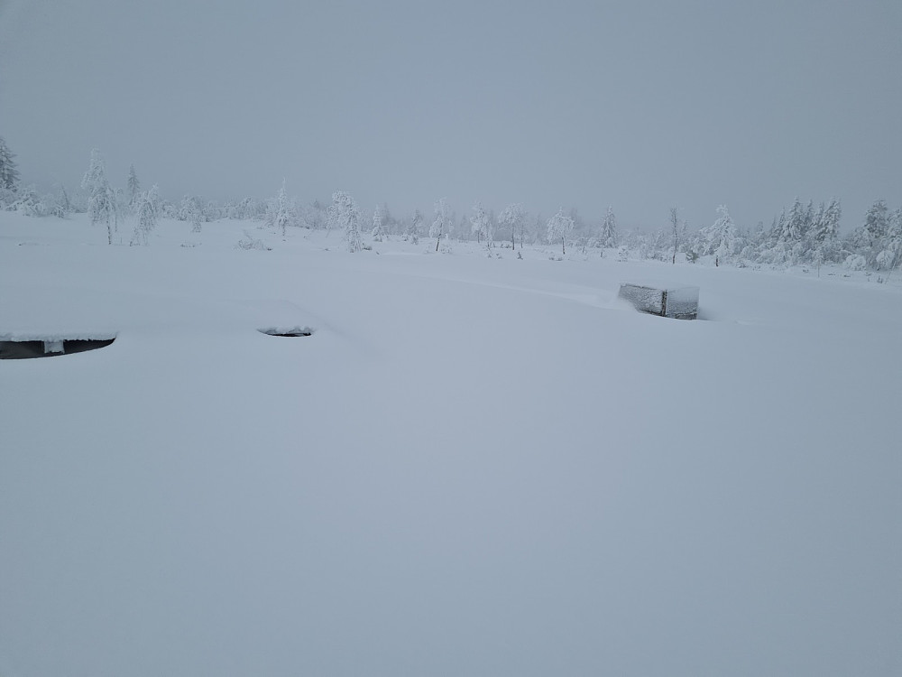 Værskei sikteskive