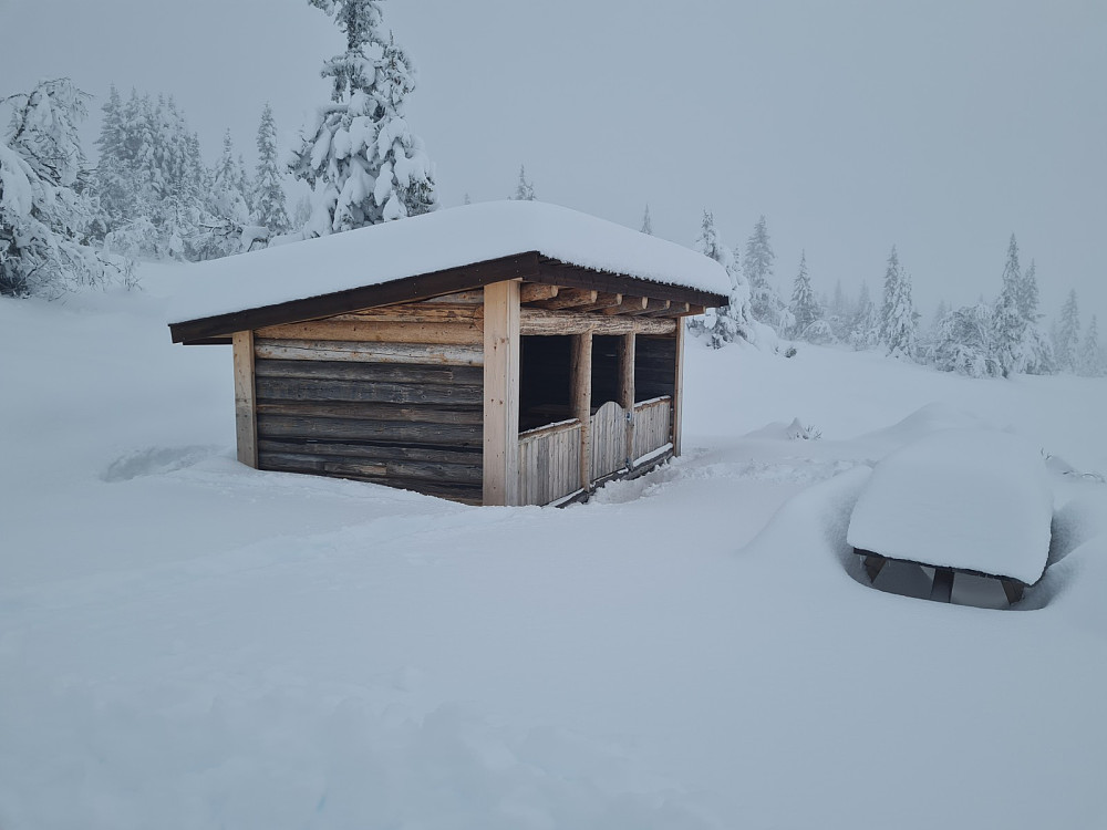 Værskei gapahuk