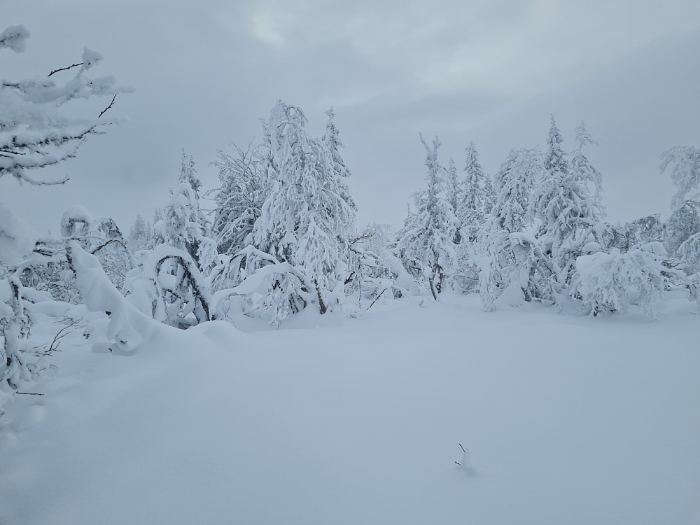 På Værskeitoppen