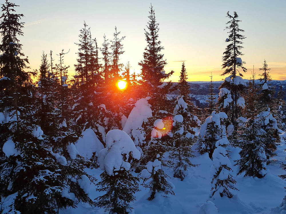 På Rindåsen trigpunkt