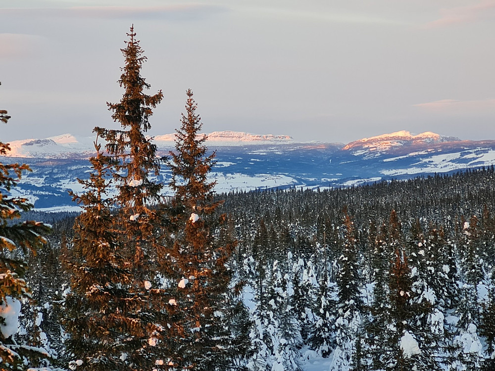 Utsikt fra Rindåsen trigpunkt, mot Skeikampen, Prestkampen, Bånseterkampene og Killiknappen