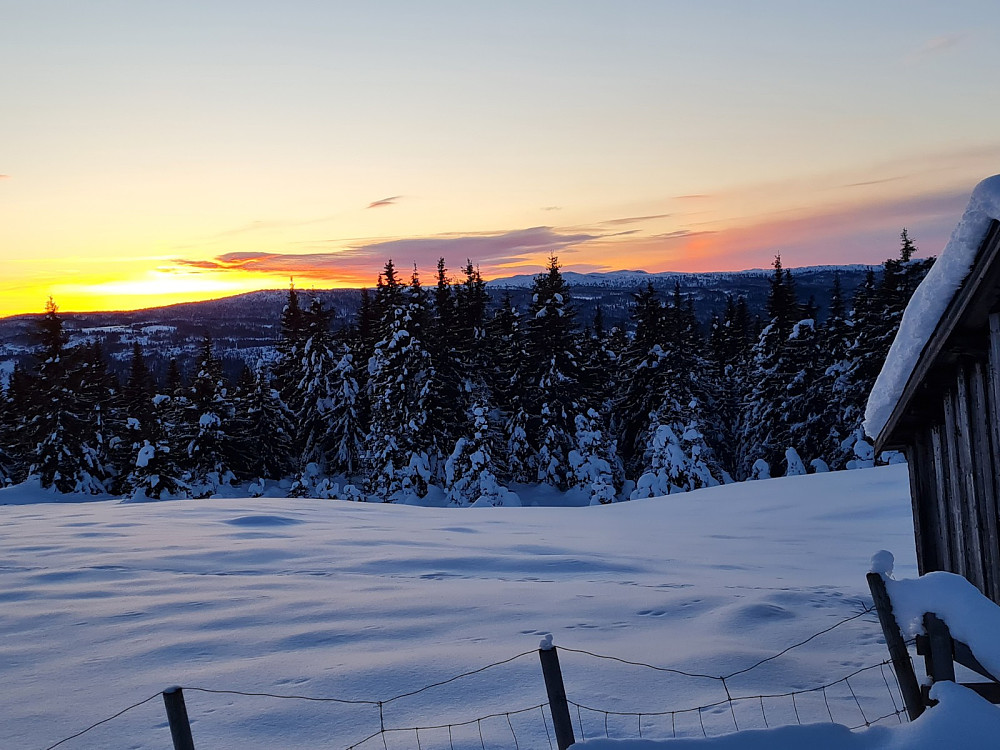 På Rindåsen