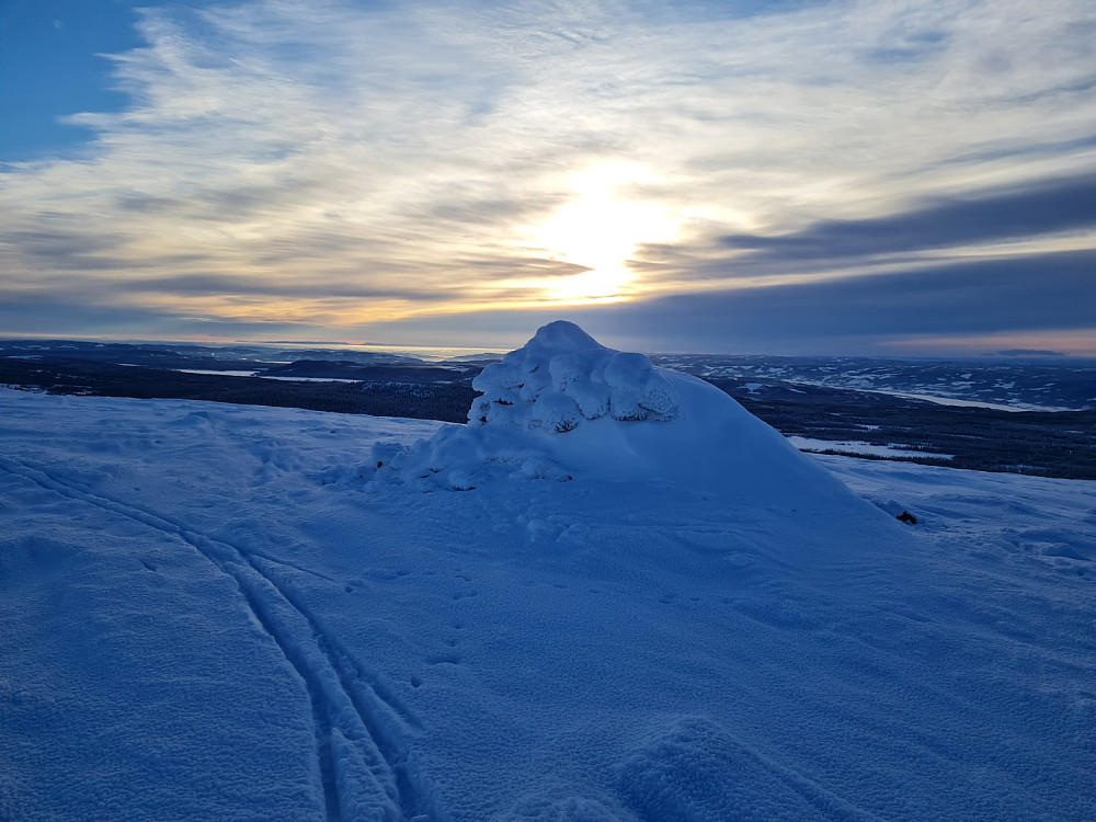 Nevelfjell