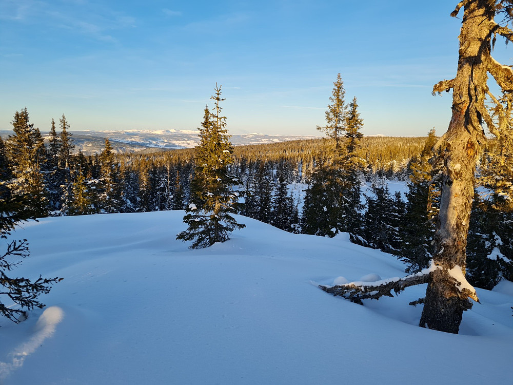 Rindåsen trigpunkt