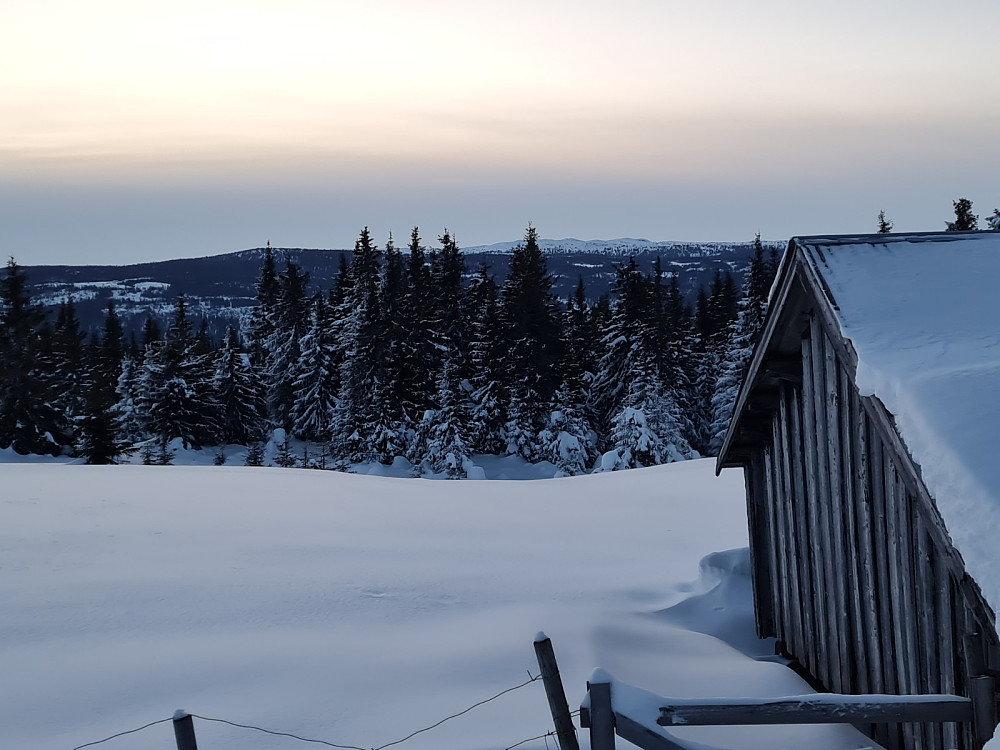 Rindåsen