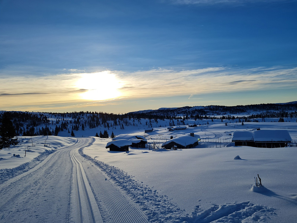 Nysætra