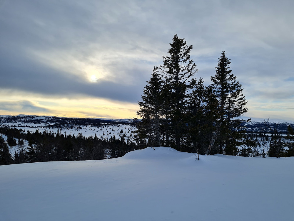 På Storrtjønnhaugen