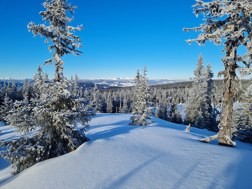 På Rindåsen trigpunkt