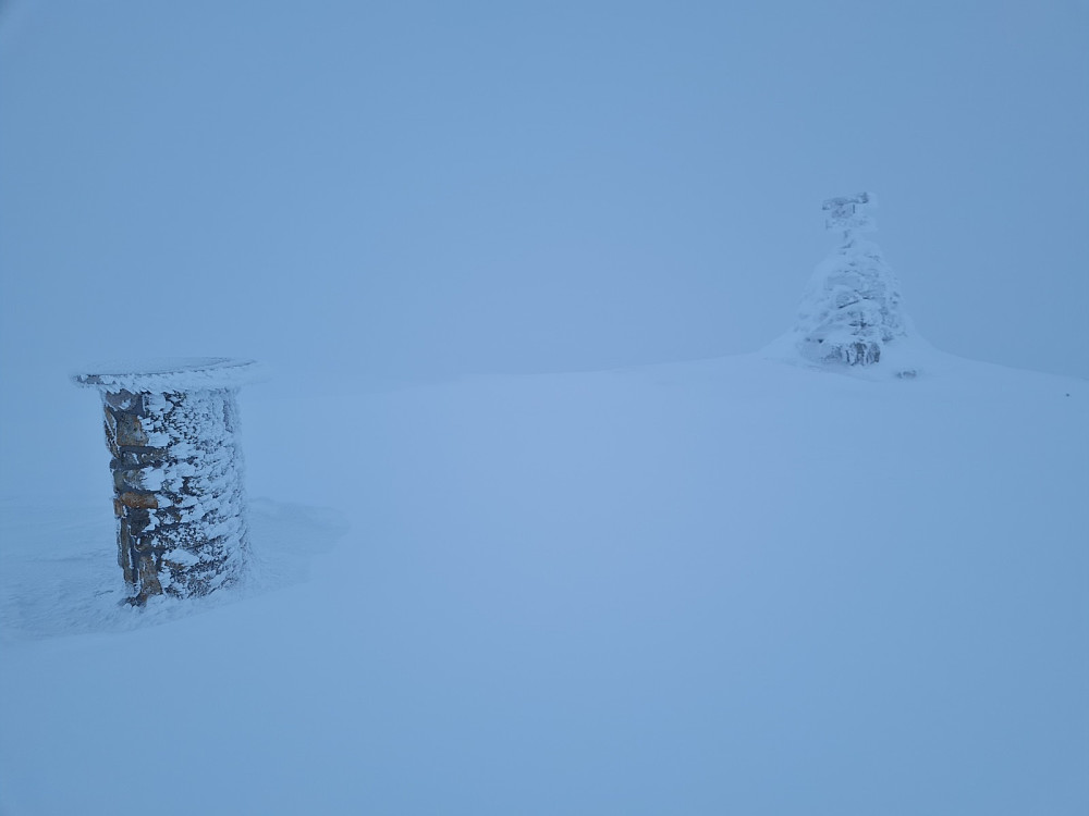 Prestkjerringa