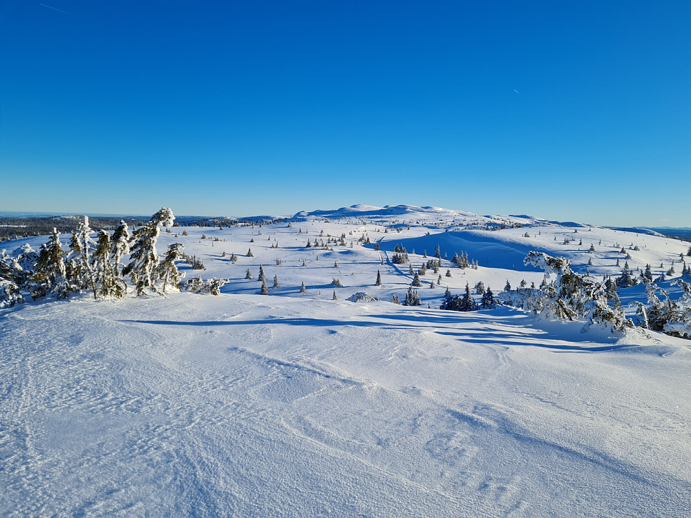 På Toftfjellet