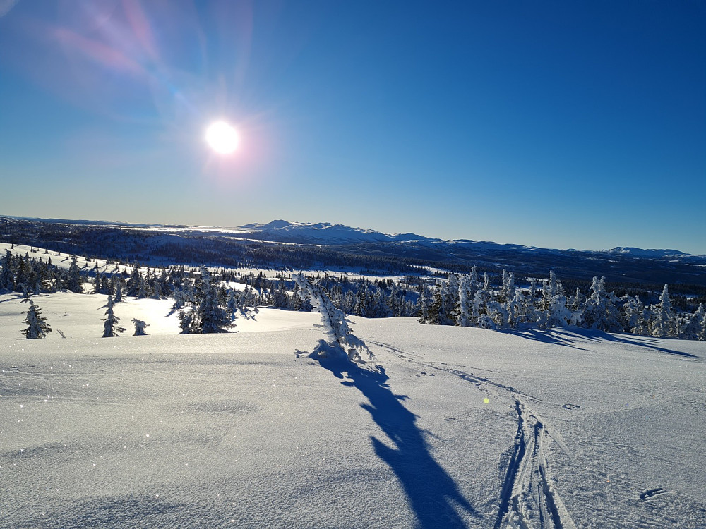 På Toftfjellet