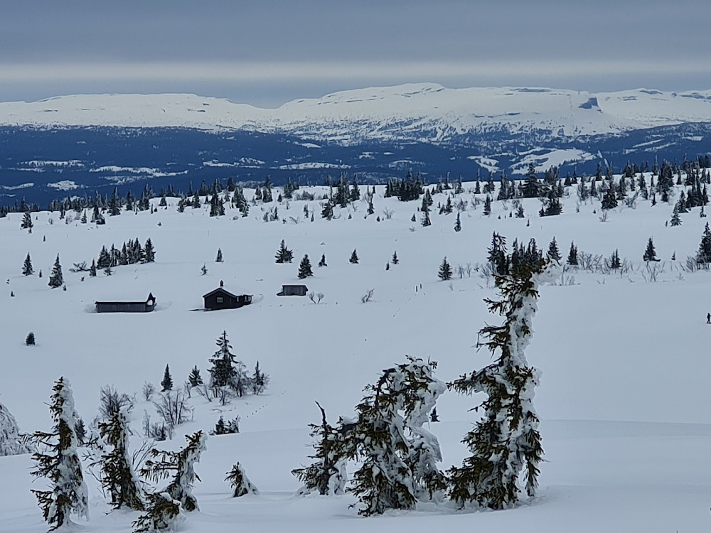 Staumsetra fra Storrtjønnhaugen