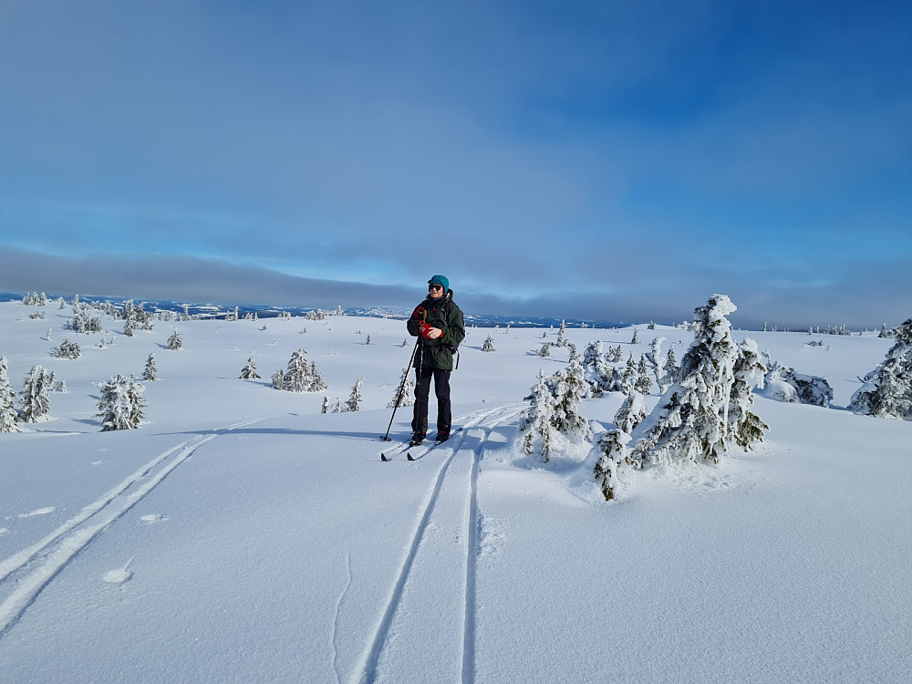 På Sandoddbekkhaugen