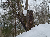 repelo_20240315_65f4973401c66.jpg