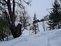 repelo_20240315_65f4973480b76.jpg