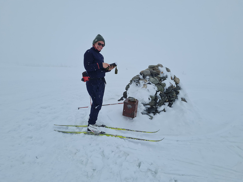 Mari på Hærfjellet