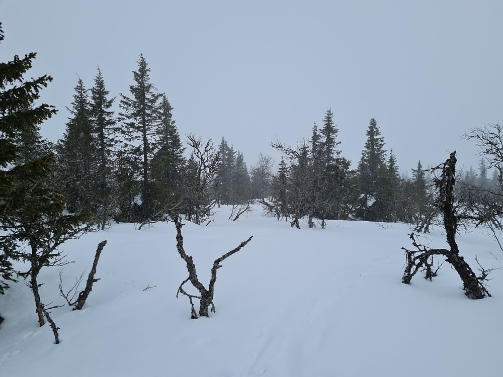 Værskeitoppen
