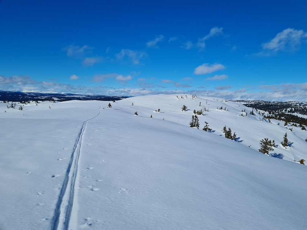 På Kjettberget
