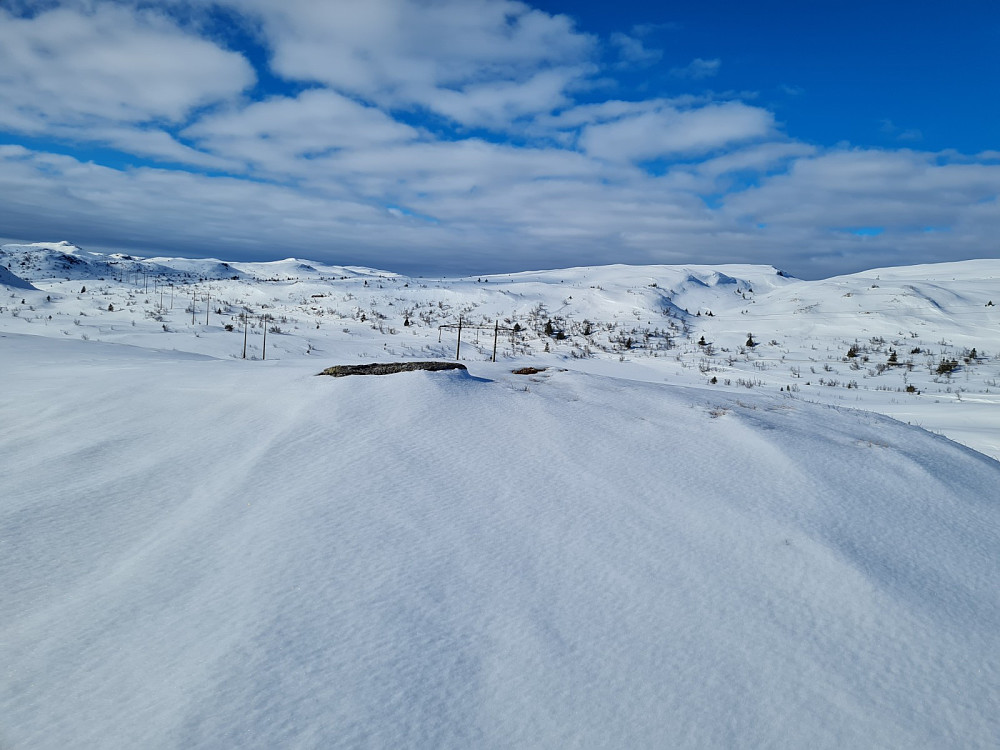 Fyksesterhaugen