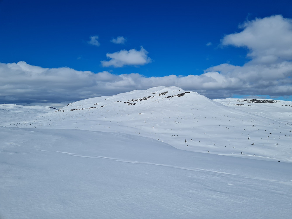 På Avlundskampen, mot Prestkampen