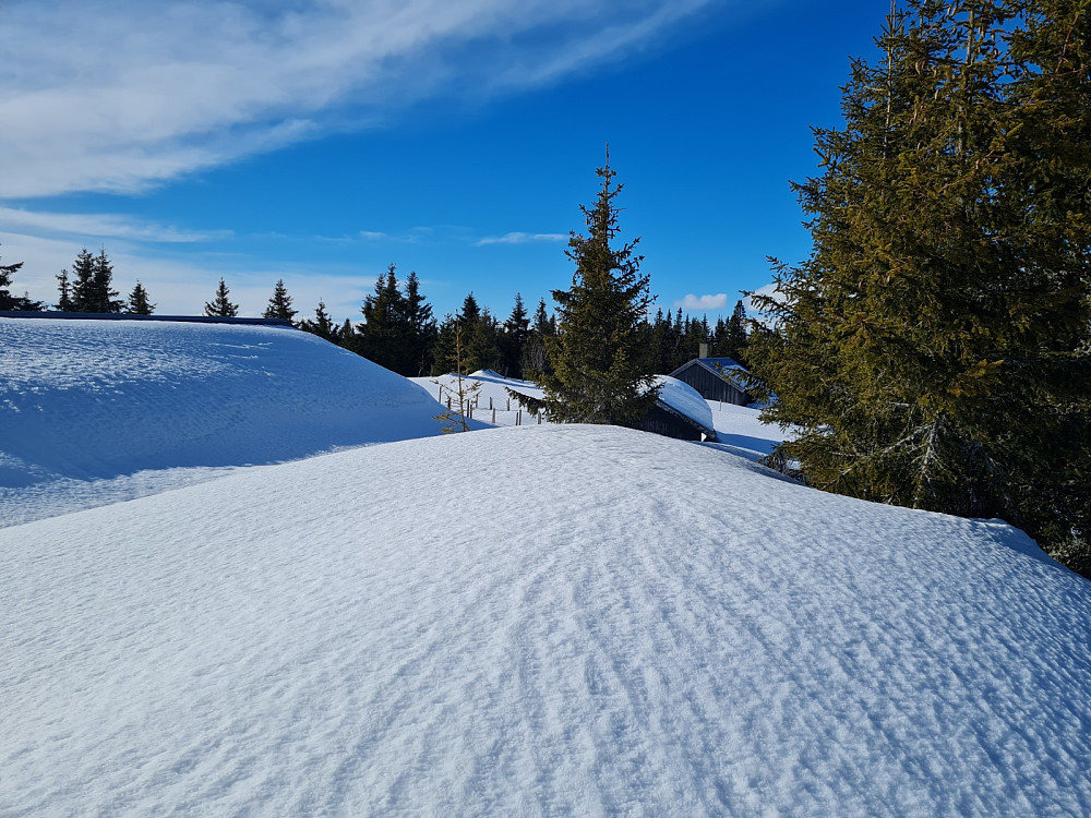 Rindåsen
