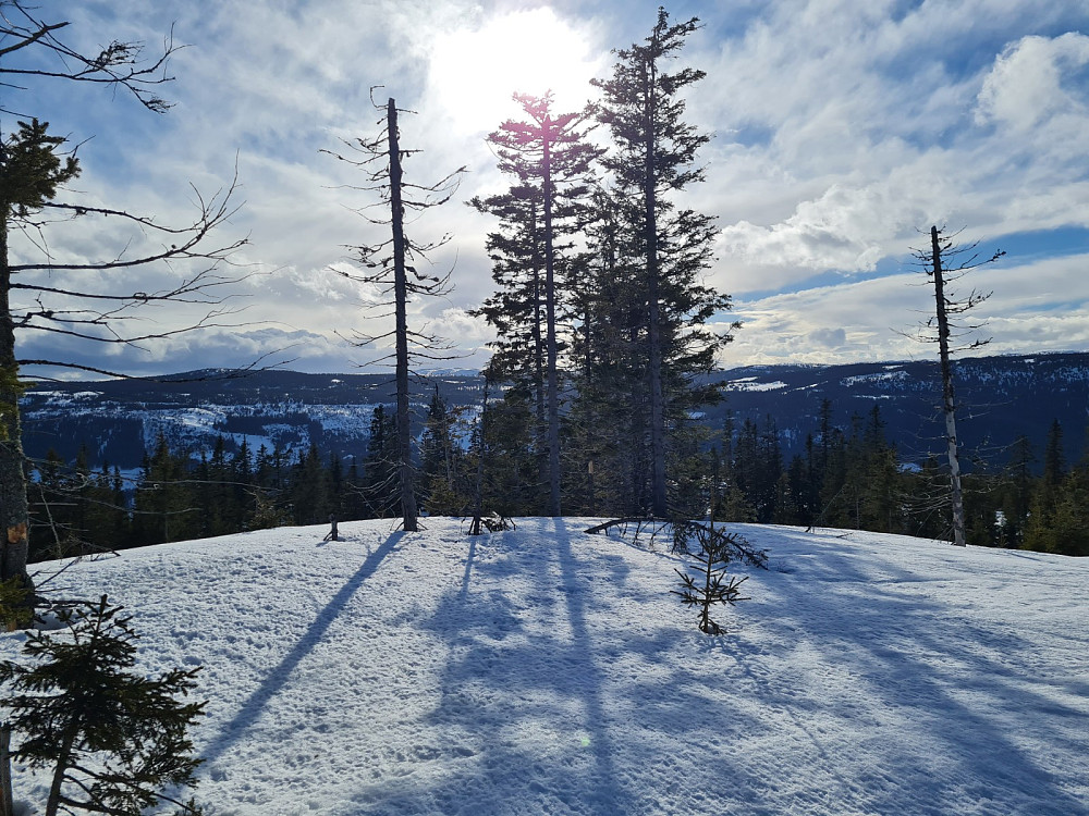 Finsrudbekkhøgda