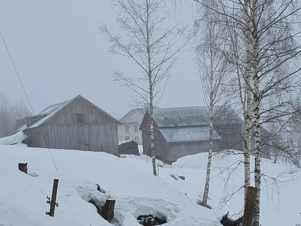 Ulsrud