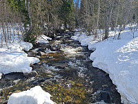 repelo_20240414_661bf01e621a5.jpg
