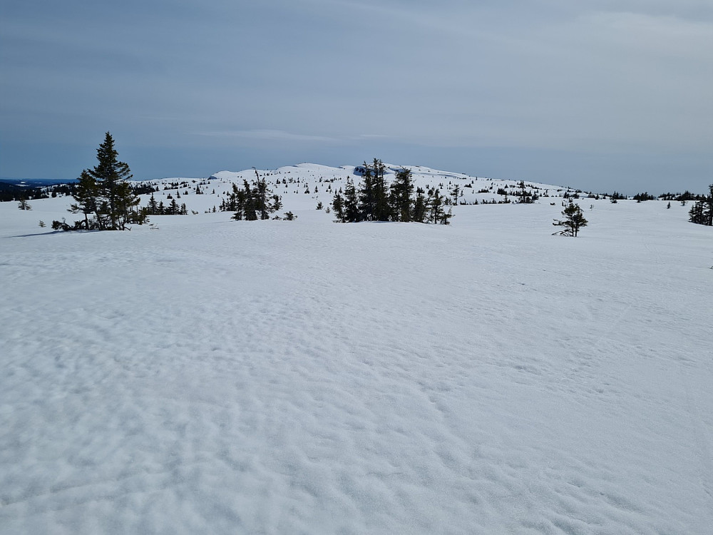 På Condruphaugen