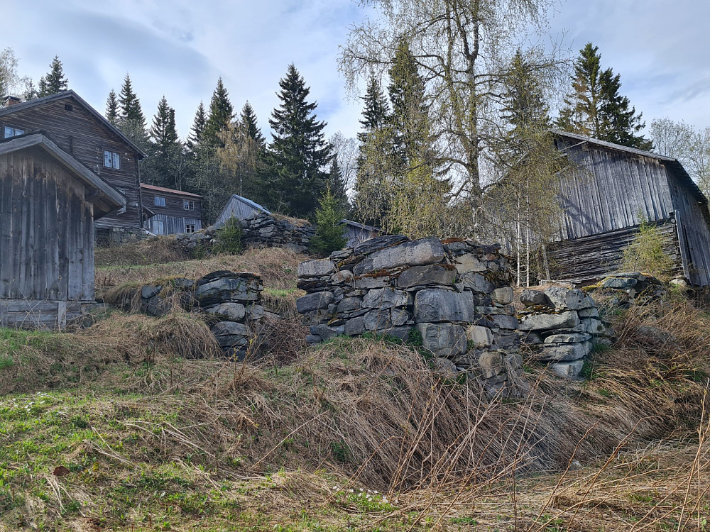 Hammershaug
