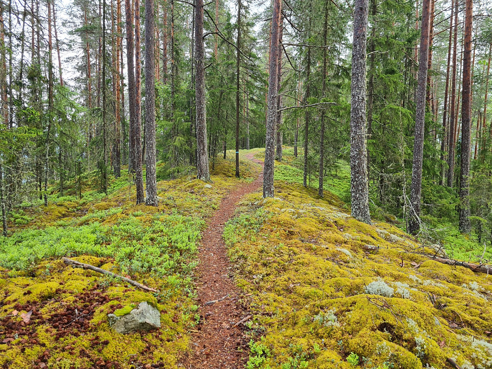 Fint råk mot Lisbetnøbbi