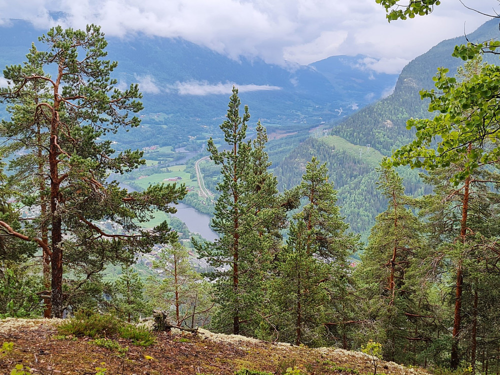 Utsikt ned mot Hallingdal
